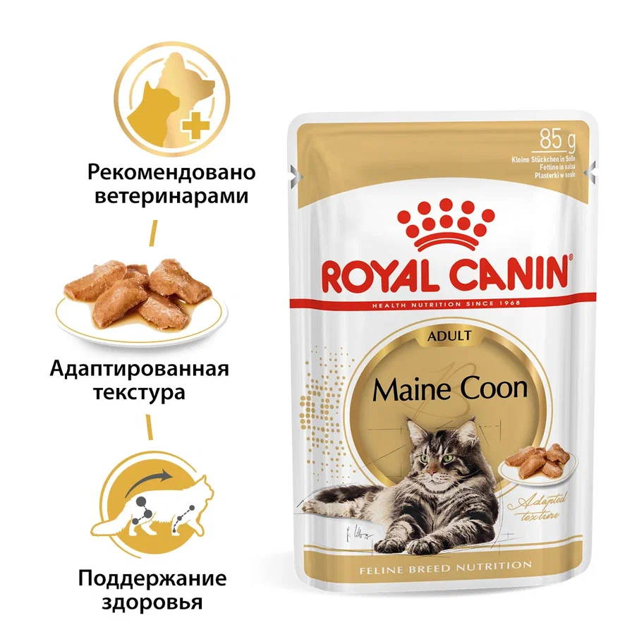 Royal Canin Maine Coon Adult Корм консервированный для взрослых кошек породы Мэйн Кун, соус