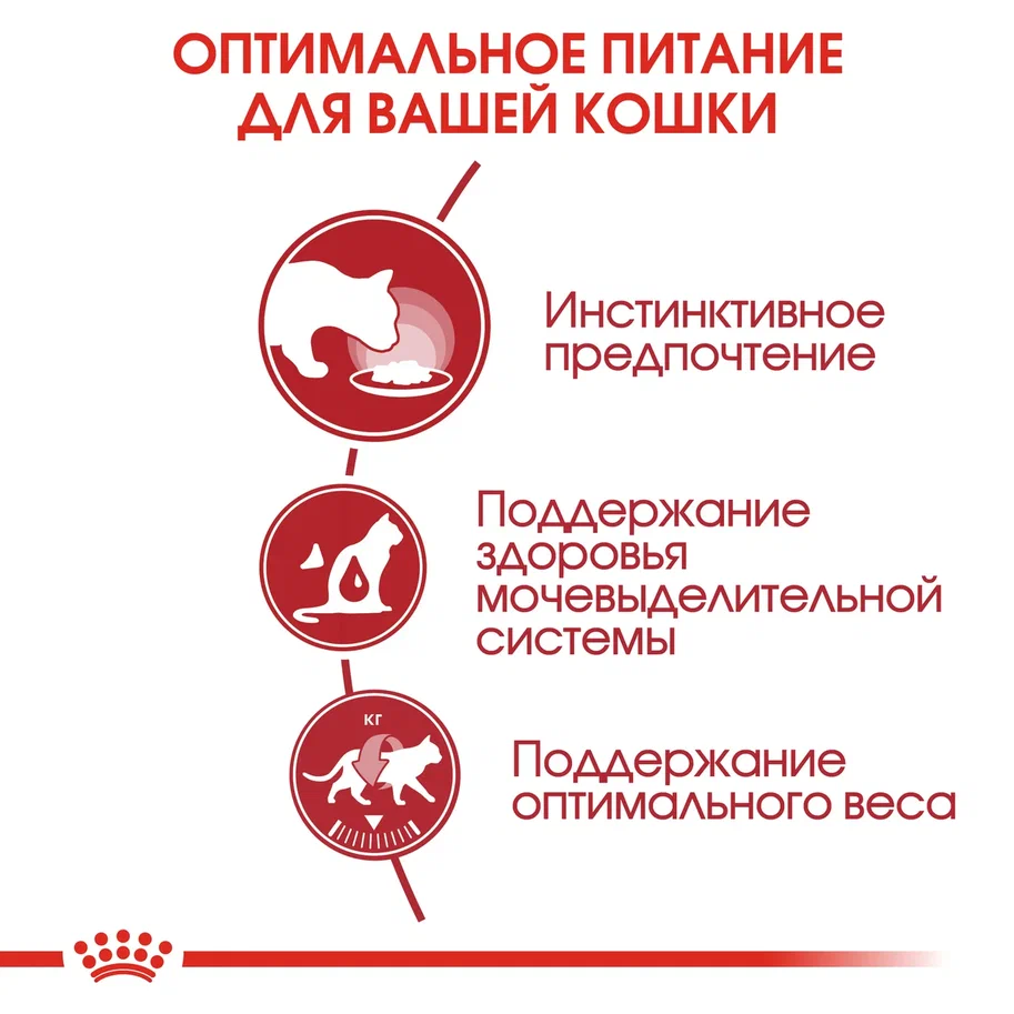 Корм Royal Canin Instinctive консервированный для взрослых кошек, желе