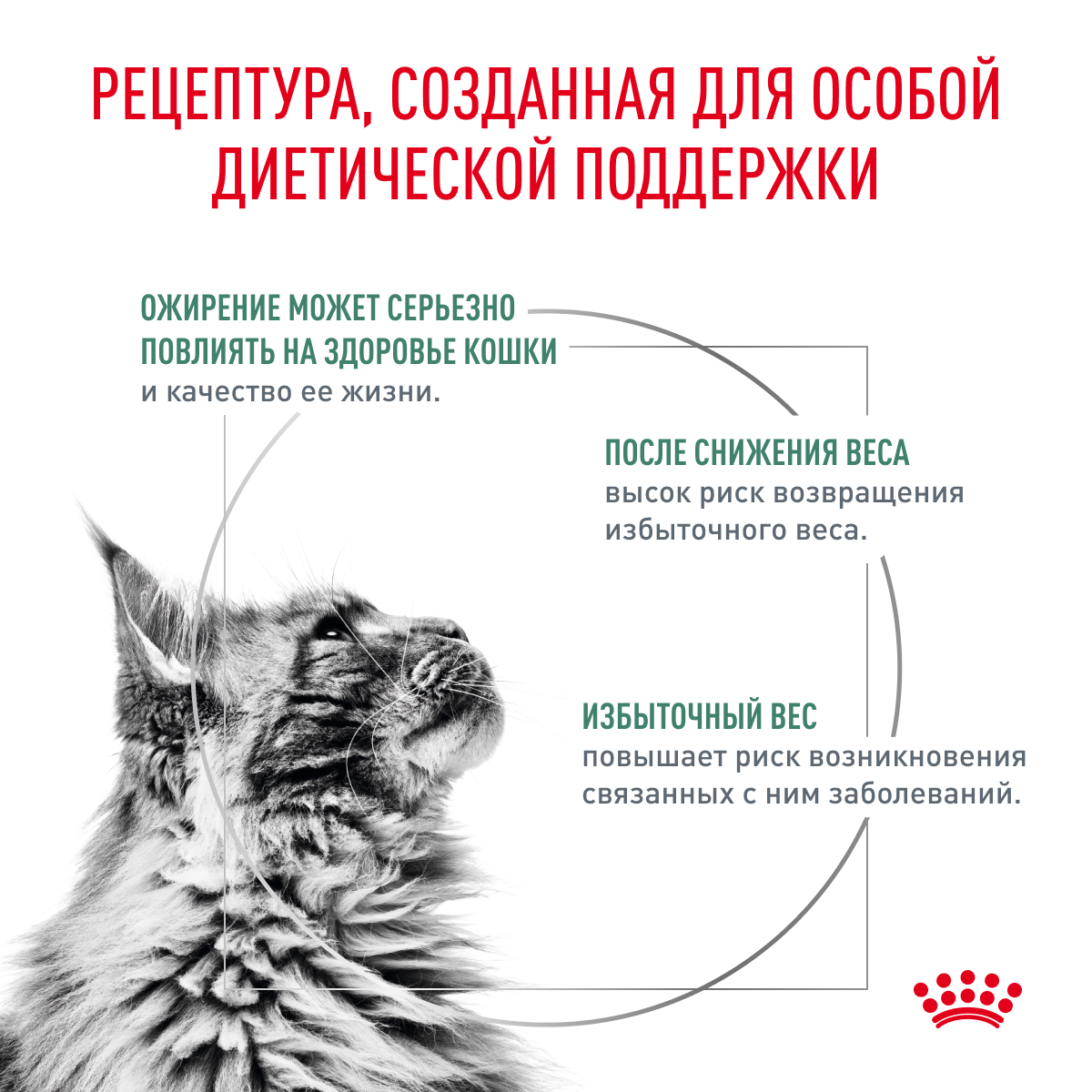 Royal Canin SATIETY WEIGHT MANAGEMENT (СЭТАЙЕТИ ВЕЙТ МЕНЕДЖМЕНТ) Корм сухой полнорационный диетический для взрослых кошек, рекомендуемый для снижения 