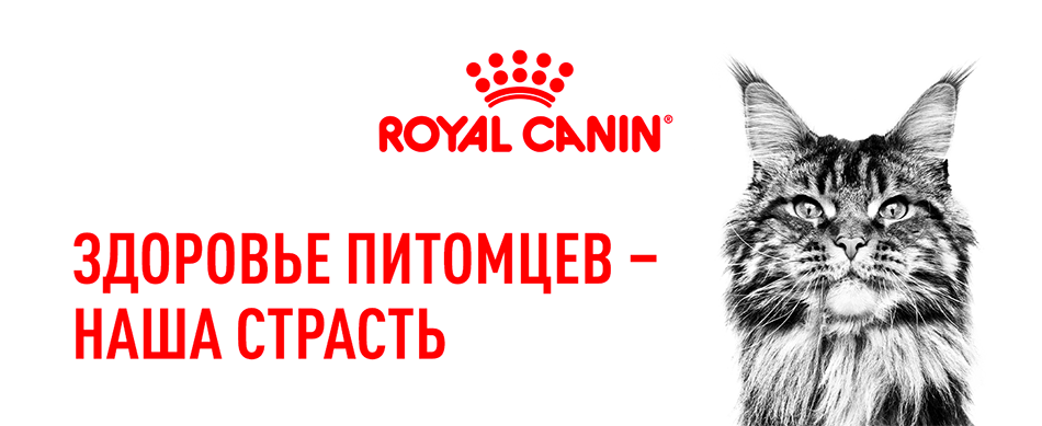 Корм для кошек Royal Canin Sterilised 37 Корм сухой сбалансированный для стерилизованных кошек