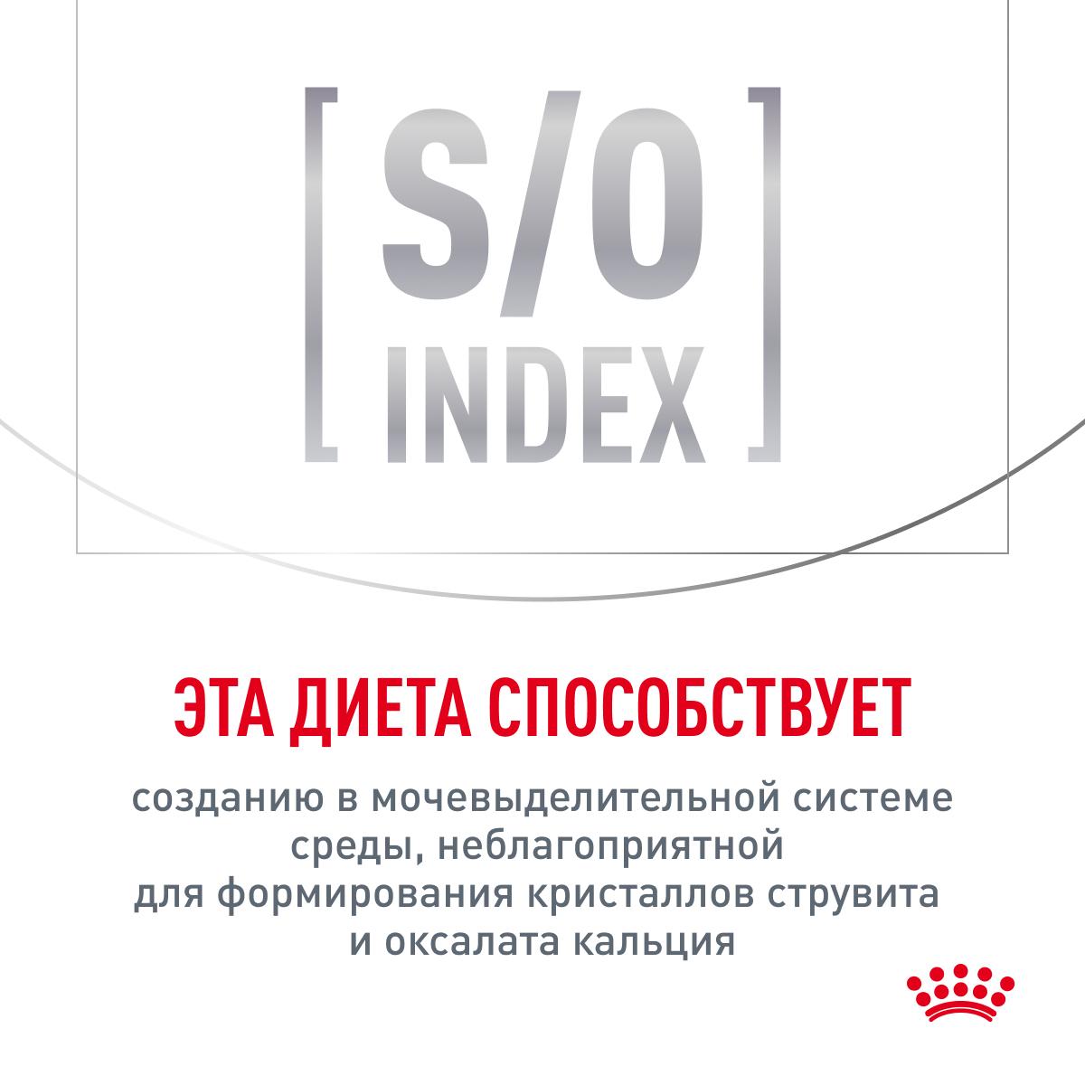 Royal Canin GASTROINTESTINAL (ГАСТРОИНТЕСТИНАЛ) Корм консервированный полнорационный диетический для взрослых кошек