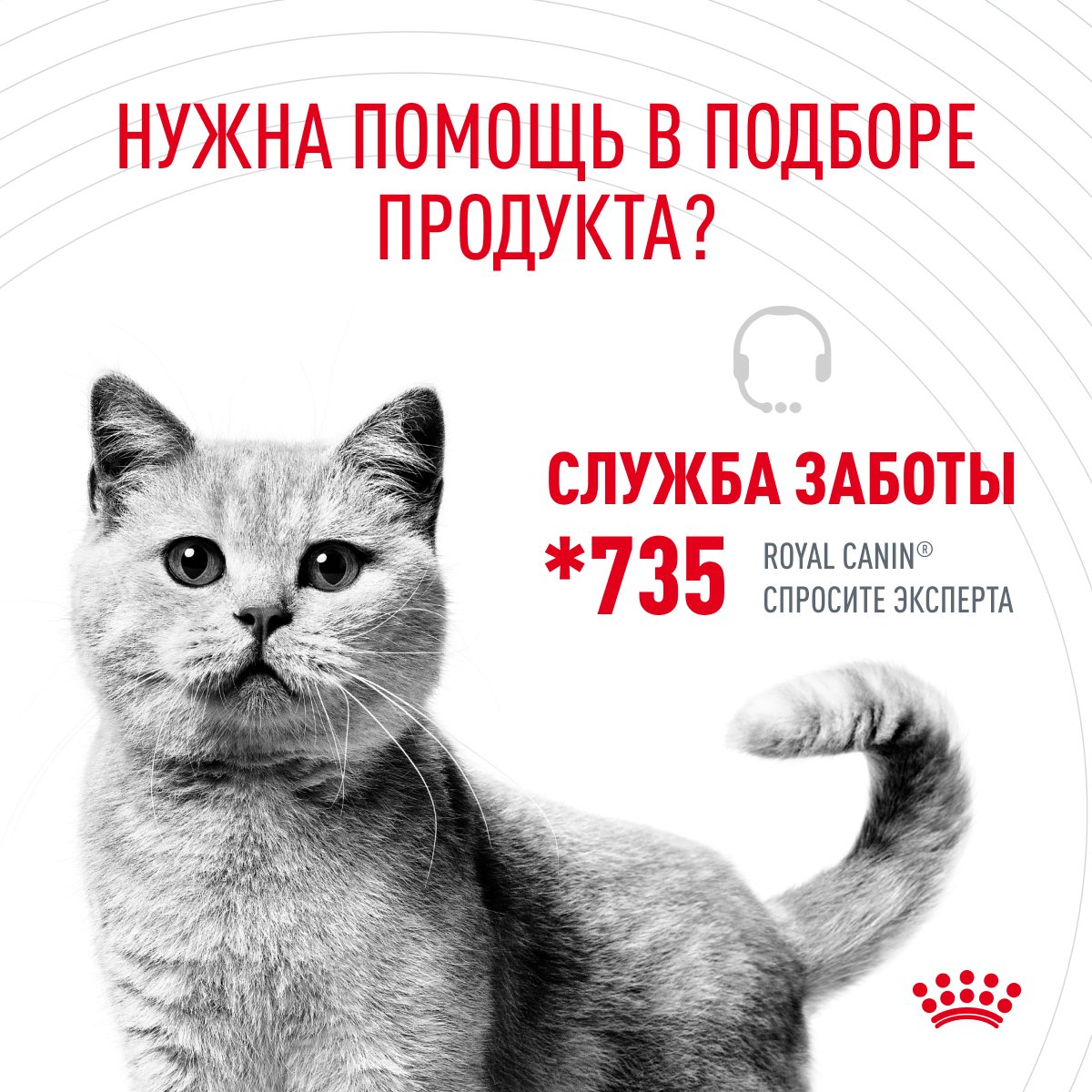 Корм Royal Canin Hair&Skin Care консервированный полнорационный для взрослых кошек для поддержания здоровья кожи и красоты шерсти, ломтики ткани в жел