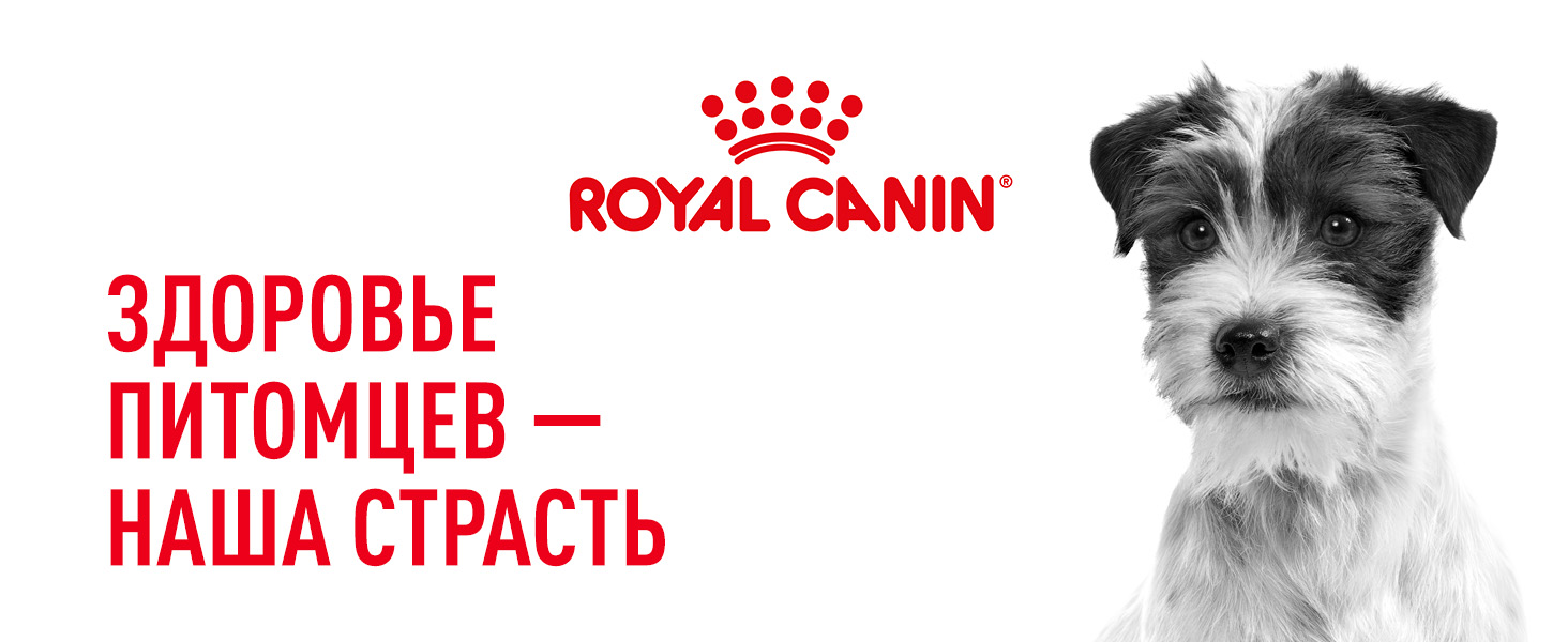 Royal Canin SATIETY WEIGHT MANAGEMENT SMALL DOGS (СЭТАЙЕТИ ВЕЙТ МЕНЕДЖМЕНТ СМОЛ ДОГЗ) Корм сухой полнорационный диетический для взрослых собак основны