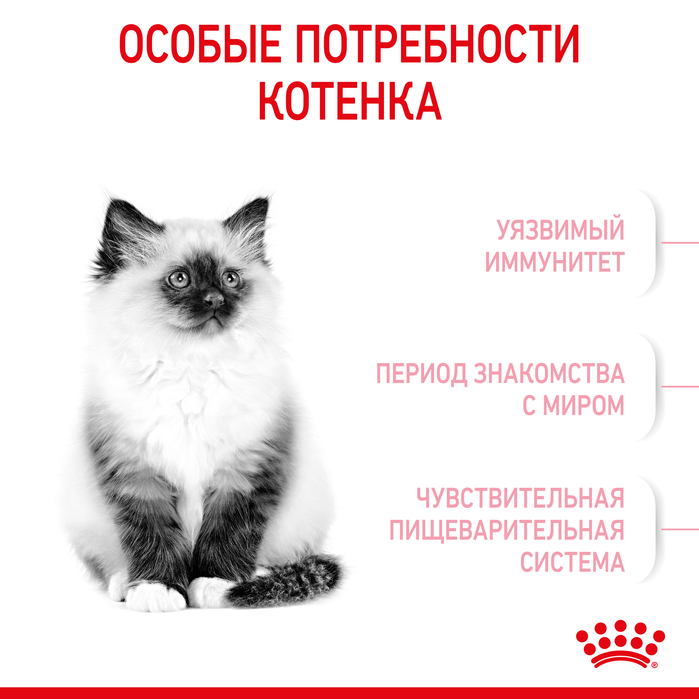 Корм для котят Royal Canin Kitten Корм сухой сбалансированный период второй фазы роста