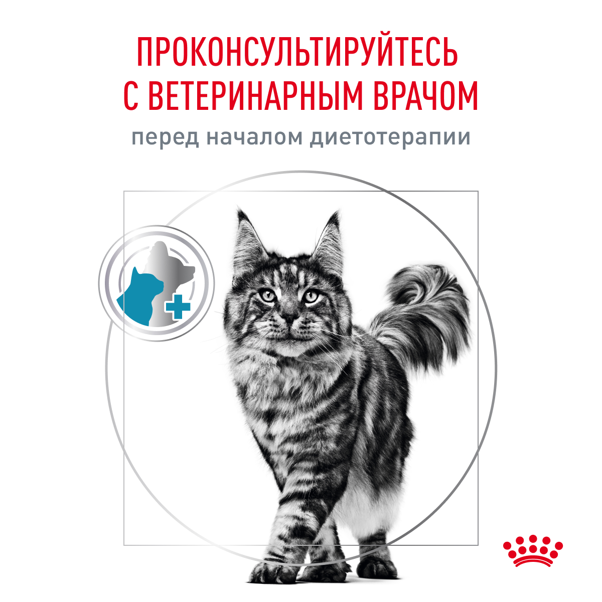 Royal Canin SENSITIVITY CONTROL CHICKEN AND RIS (СЕНСИТИВИТИ КОНТРОЛ С КУРИЦЕЙ И РИСОМ) Корм консервированный полнорационный диетический для взрослых 