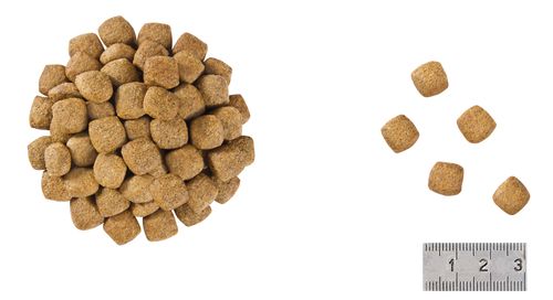 Корм для взрослых котов и кошек с момента стерилизации Royal Canin Neutered Satiety Balance, сухой диетический
