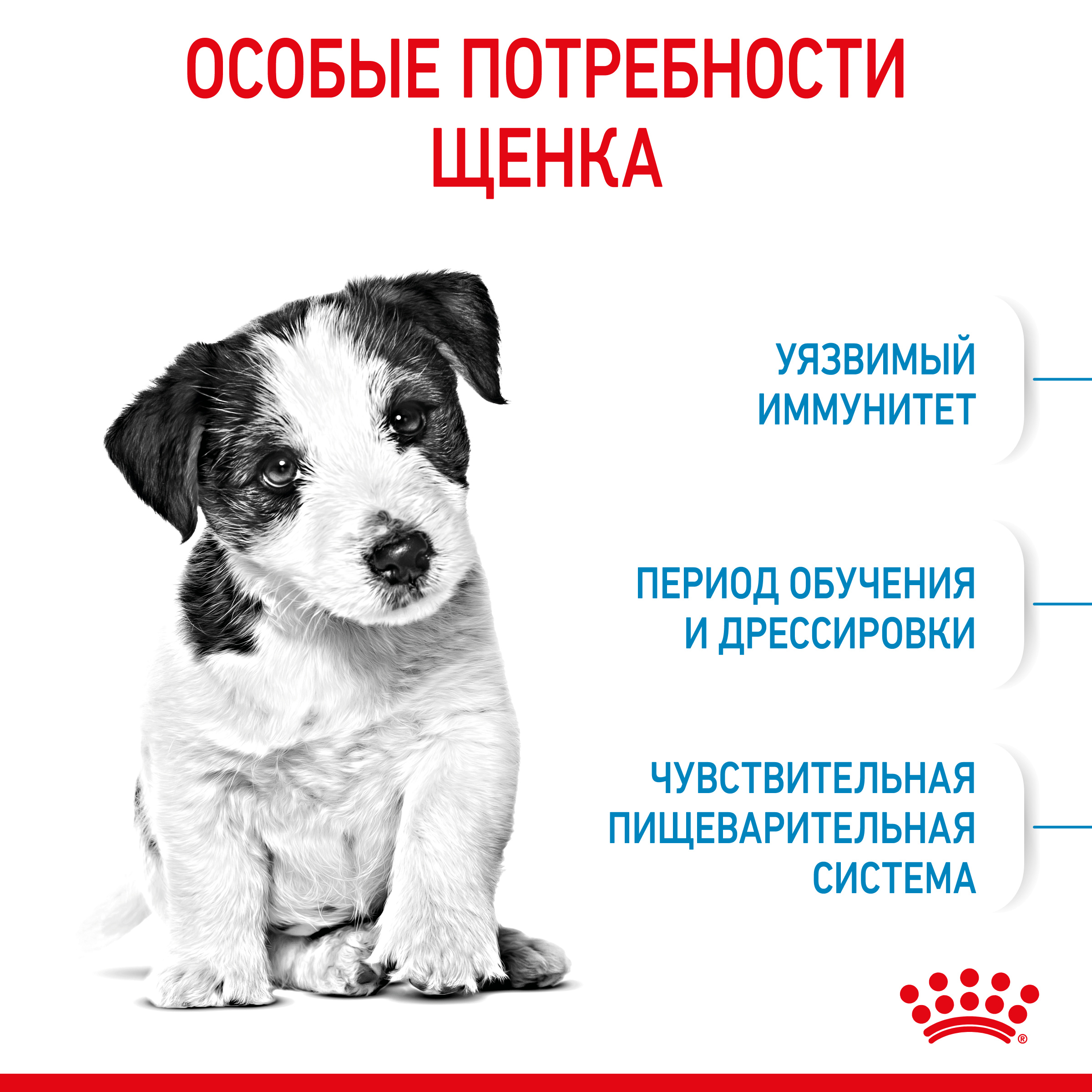 Корм для собак Royal Canin Корм Mini Puppy сухой для щенков мелких размеров до 8 месяцев