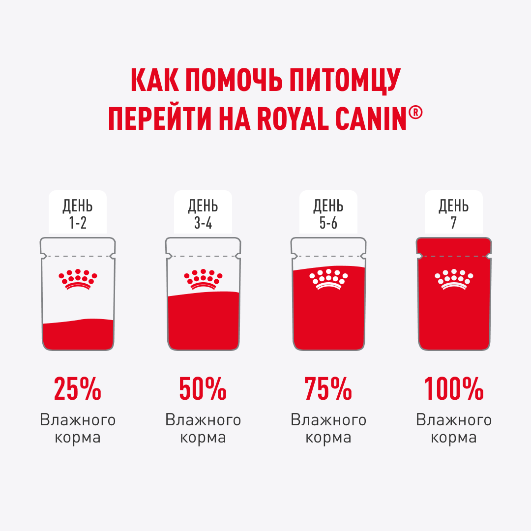 Kitten Sterilized , мелкие кусочки в желе. 