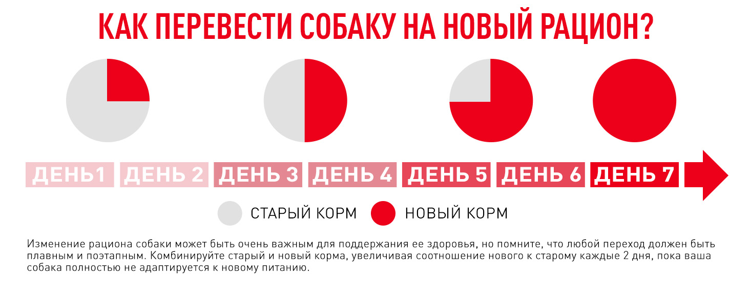 Royal Canin SATIETY WEIGHT MANAGEMENT SMALL DOGS (СЭТАЙЕТИ ВЕЙТ МЕНЕДЖМЕНТ СМОЛ ДОГЗ) Корм сухой полнорационный диетический для взрослых собак основны