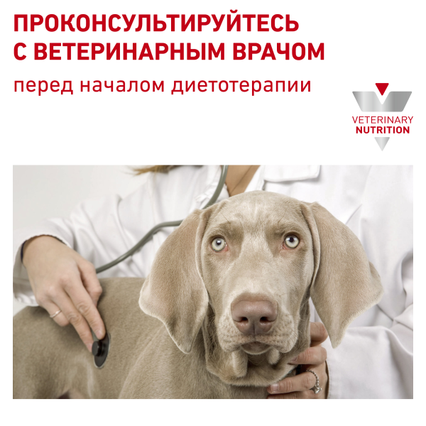 Ветеринарная диета для собак малых пород с пищевой aллергией, Hypoallergenic Small Dog Canine