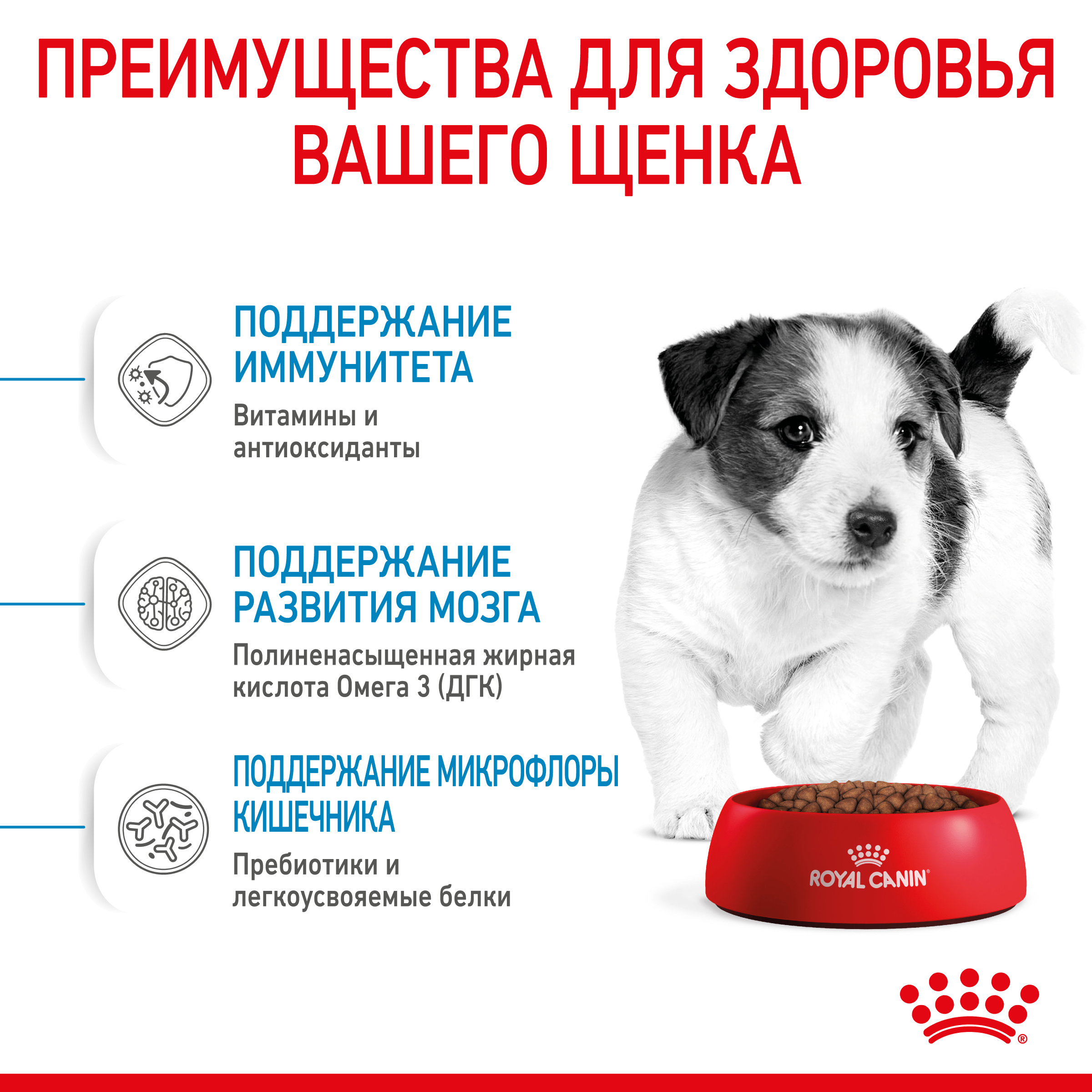 Корм для собак Royal Canin Корм Mini Puppy сухой для щенков мелких размеров до 8 месяцев