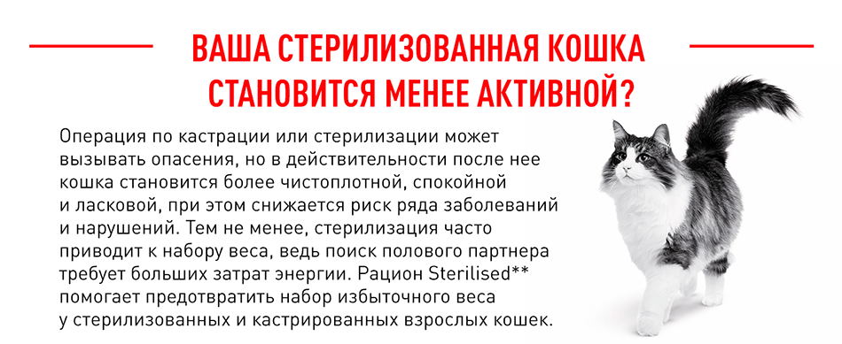 Корм для кошек Royal Canin Sterilised 37 Корм сухой сбалансированный для стерилизованных кошек