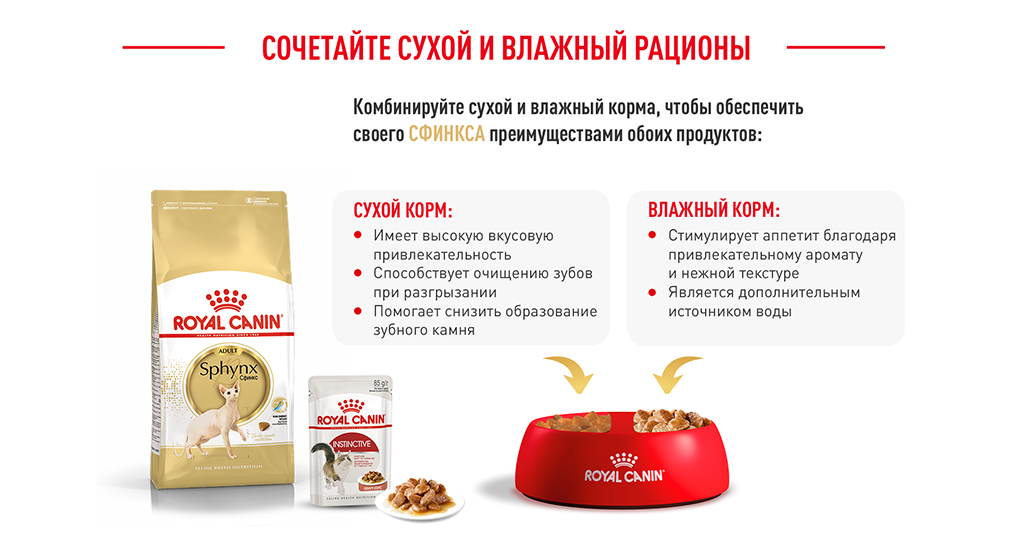 Корм для кошек Royal Canin Sphynx Adult Корм сухой сбалансированный для взрослых кошек породы Сфинкс