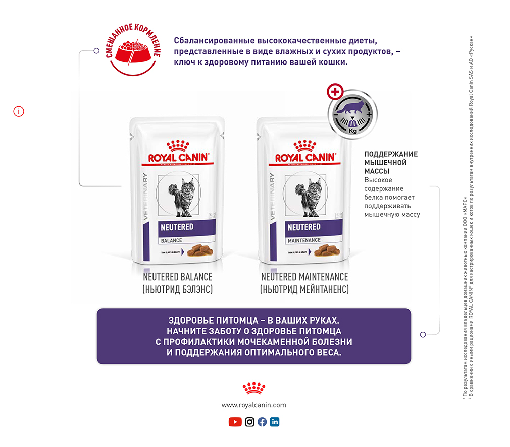 Корм для взрослых котов и кошек с момента стерилизации Royal Canin Neutered Satiety Balance, сухой диетический