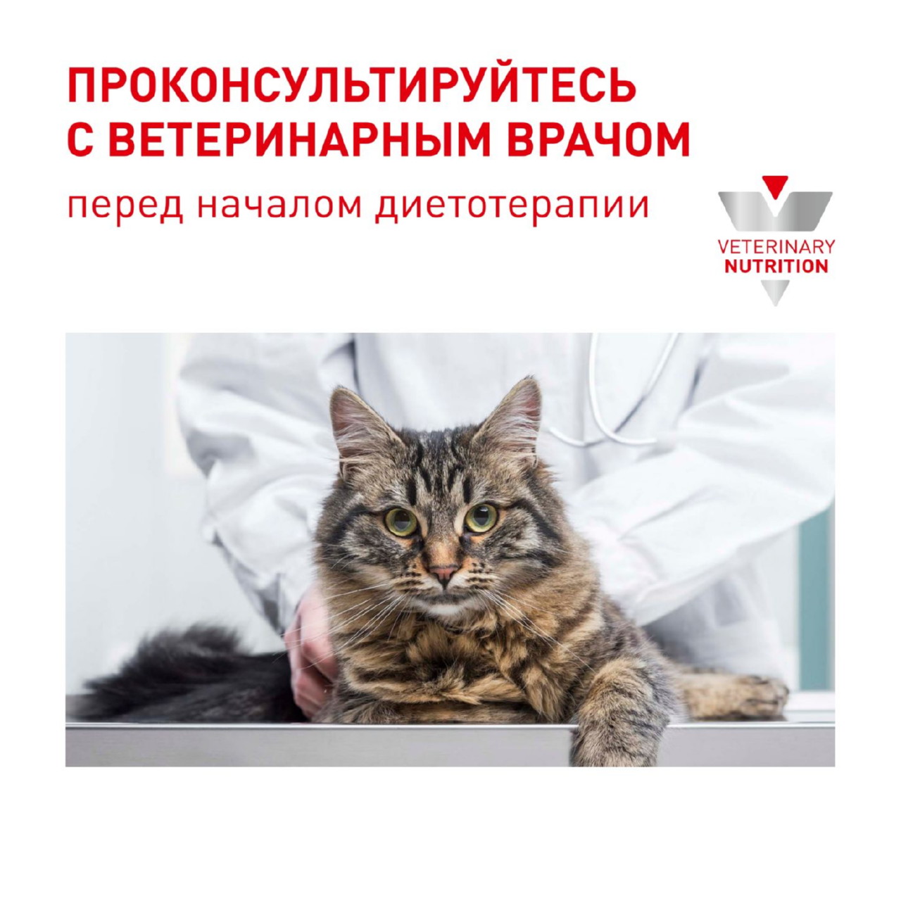 Корм для взрослых котов и кошек с момента стерилизации Royal Canin Neutered Satiety Balance, сухой диетический