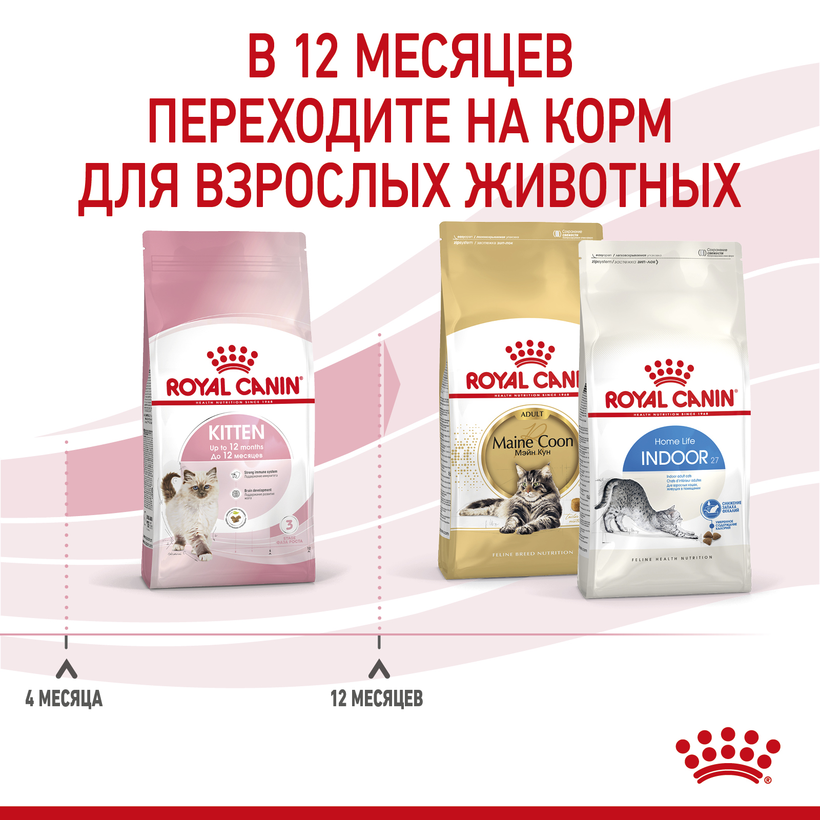 Корм для котят Royal Canin Kitten Корм сухой сбалансированный период второй фазы роста