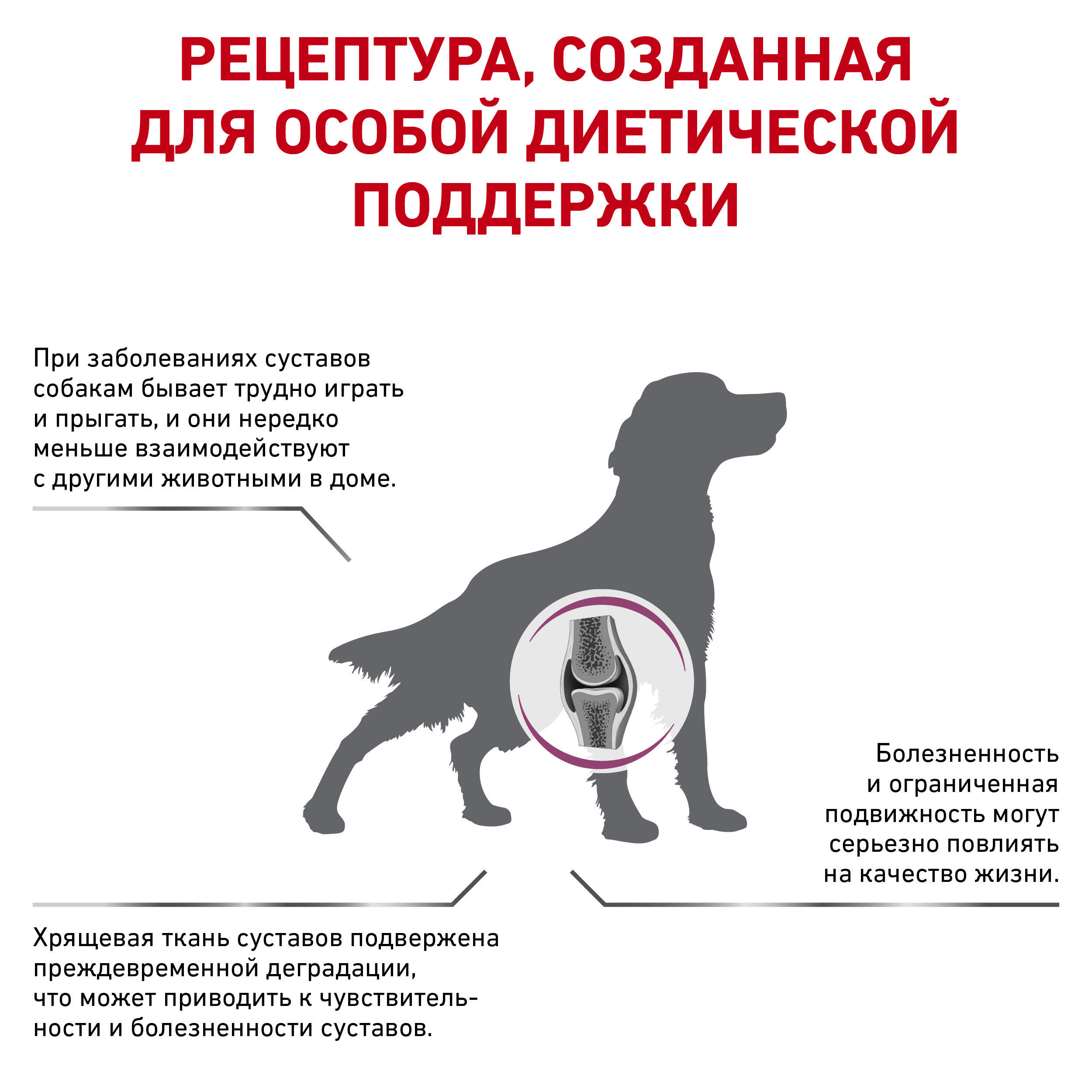 Ветеринарная диета для собак при заболеваниях oпорно-двигательного aппарата, Mobility Canin