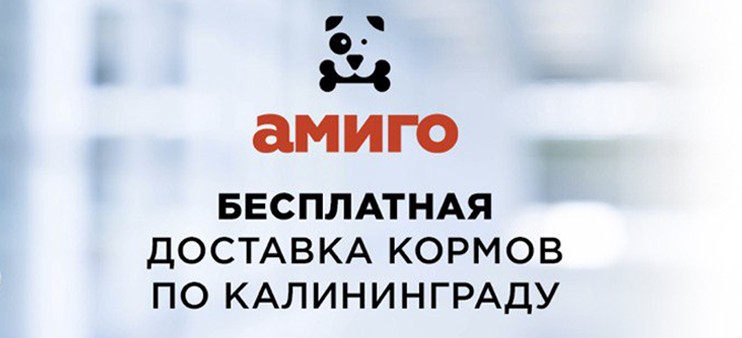 Манго Интернет Магазин Калининград