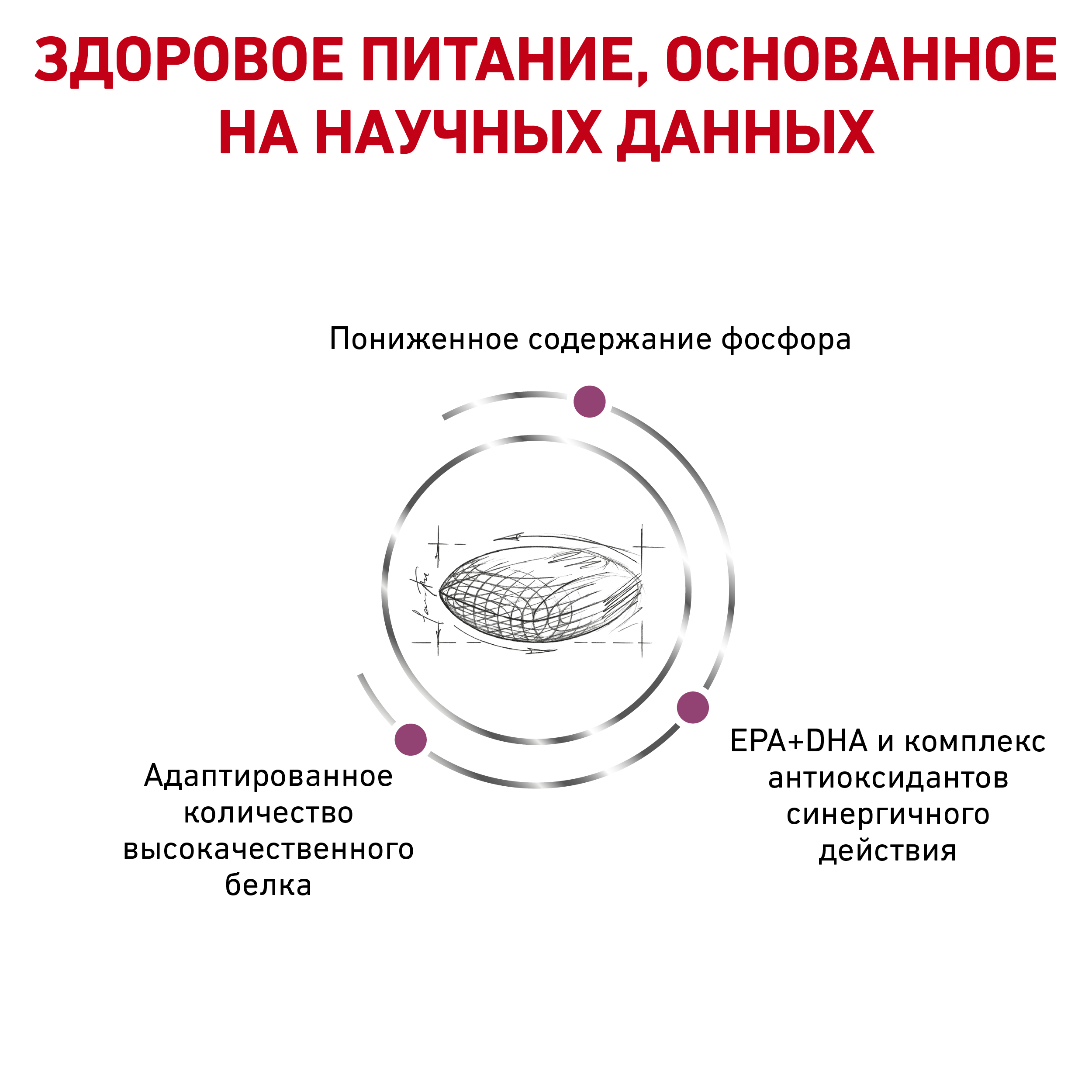 Ветеринарная диета для собак при почечной недостаточности, Renal Canin