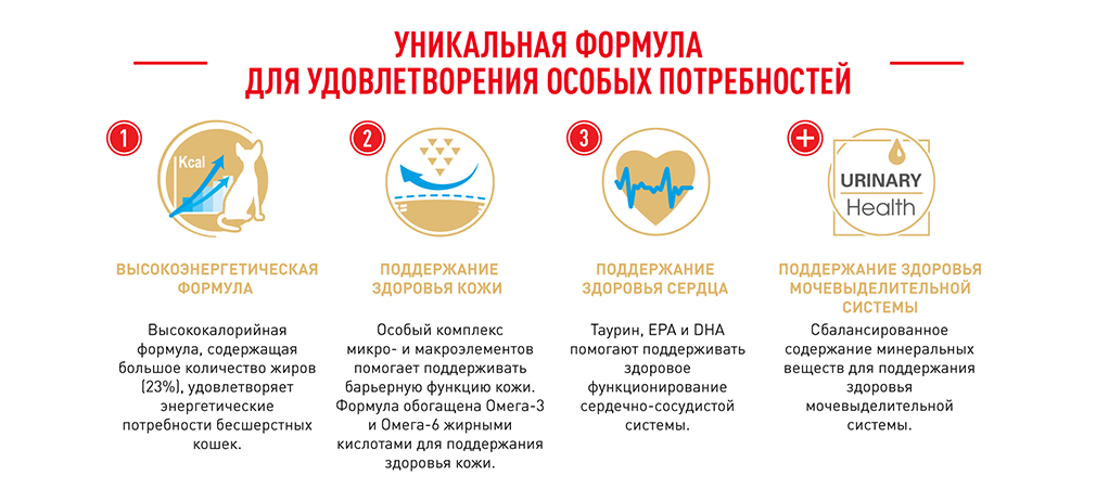 Корм для кошек Royal Canin Sphynx Adult Корм сухой сбалансированный для взрослых кошек породы Сфинкс