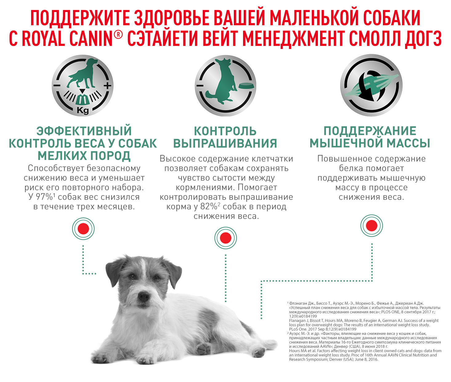 Royal Canin SATIETY WEIGHT MANAGEMENT SMALL DOGS (СЭТАЙЕТИ ВЕЙТ МЕНЕДЖМЕНТ СМОЛ ДОГЗ) Корм сухой полнорационный диетический для взрослых собак основны