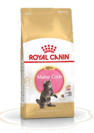 Корм для котят мейн-кун (4-15 мес.), Maine - Coon kitten