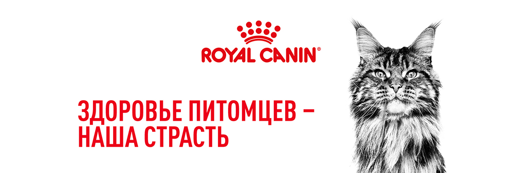 Корм для кошек Royal Canin Sphynx Adult Корм сухой сбалансированный для взрослых кошек породы Сфинкс