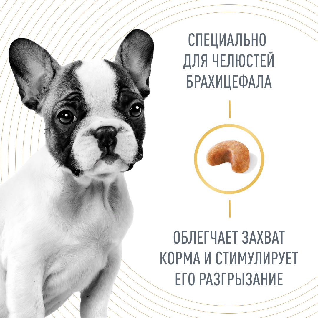 Корм для щенков французского бульдога до 12 мес., French Bulldog Puppy