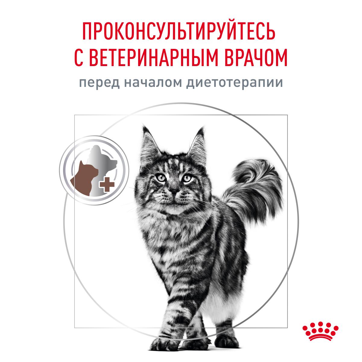 Royal Canin GASTROINTESTINAL (ГАСТРОИНТЕСТИНАЛ) Корм консервированный полнорационный диетический для взрослых кошек