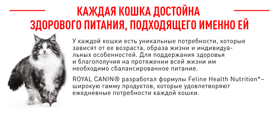 Корм для кошек Royal Canin Sterilised 37 Корм сухой сбалансированный для стерилизованных кошек