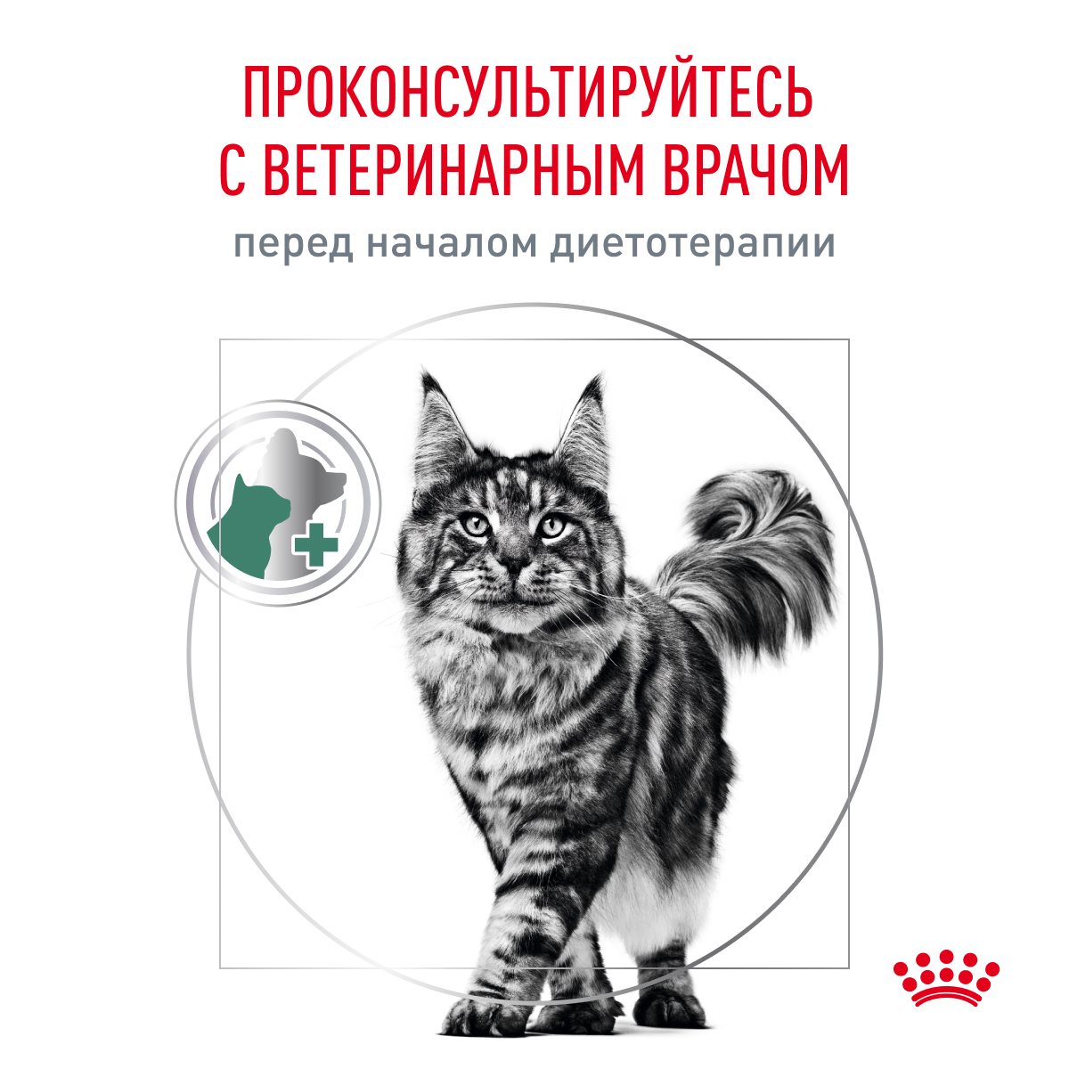 Royal Canin SATIETY WEIGHT MANAGEMENT (СЭТАЙЕТИ ВЕЙТ МЕНЕДЖМЕНТ) Корм сухой полнорационный диетический для взрослых кошек, рекомендуемый для снижения 