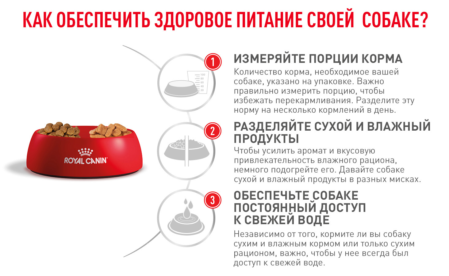 Royal Canin SATIETY WEIGHT MANAGEMENT SMALL DOGS (СЭТАЙЕТИ ВЕЙТ МЕНЕДЖМЕНТ СМОЛ ДОГЗ) Корм сухой полнорационный диетический для взрослых собак основны
