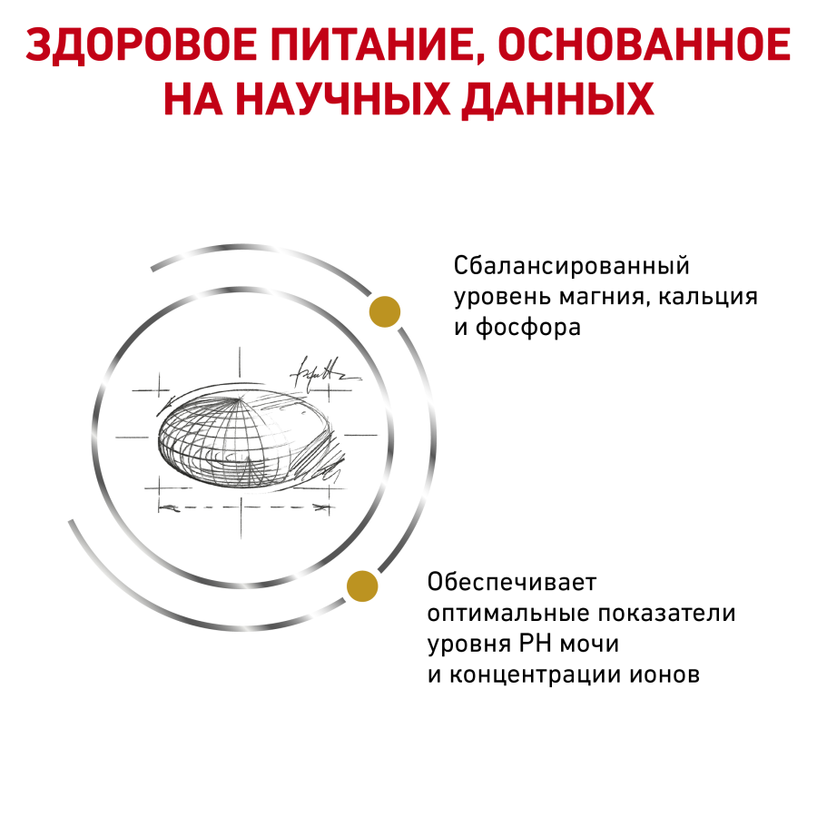 Корм для взрослых кошек при мочекаменной болезни Royal Canin Urinary S/O LP 34 Feline, сухой диетический
