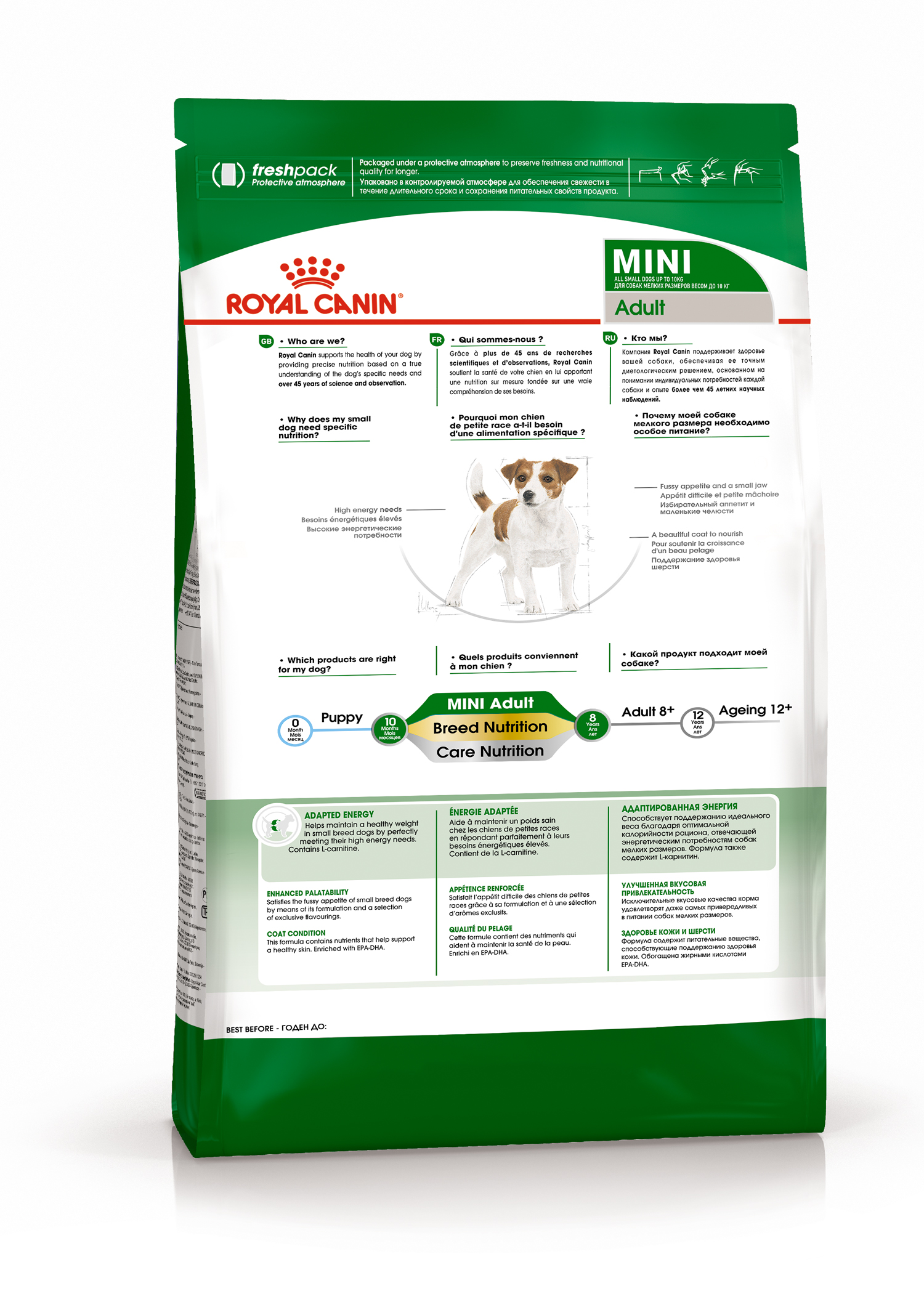 Корм для собак Royal Canin Mini Adult Корм сухой для взрослых собак мелких размеров от 10 месяцев