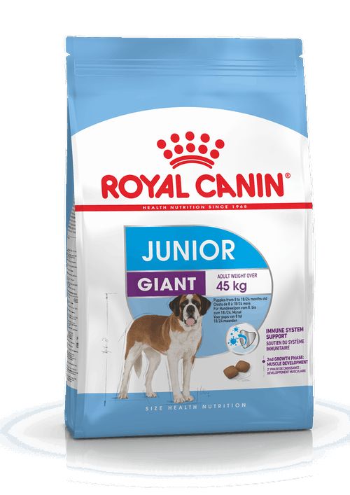 Корм для щенков гигантских пород 8-18/24 мес., Giant Junior 31