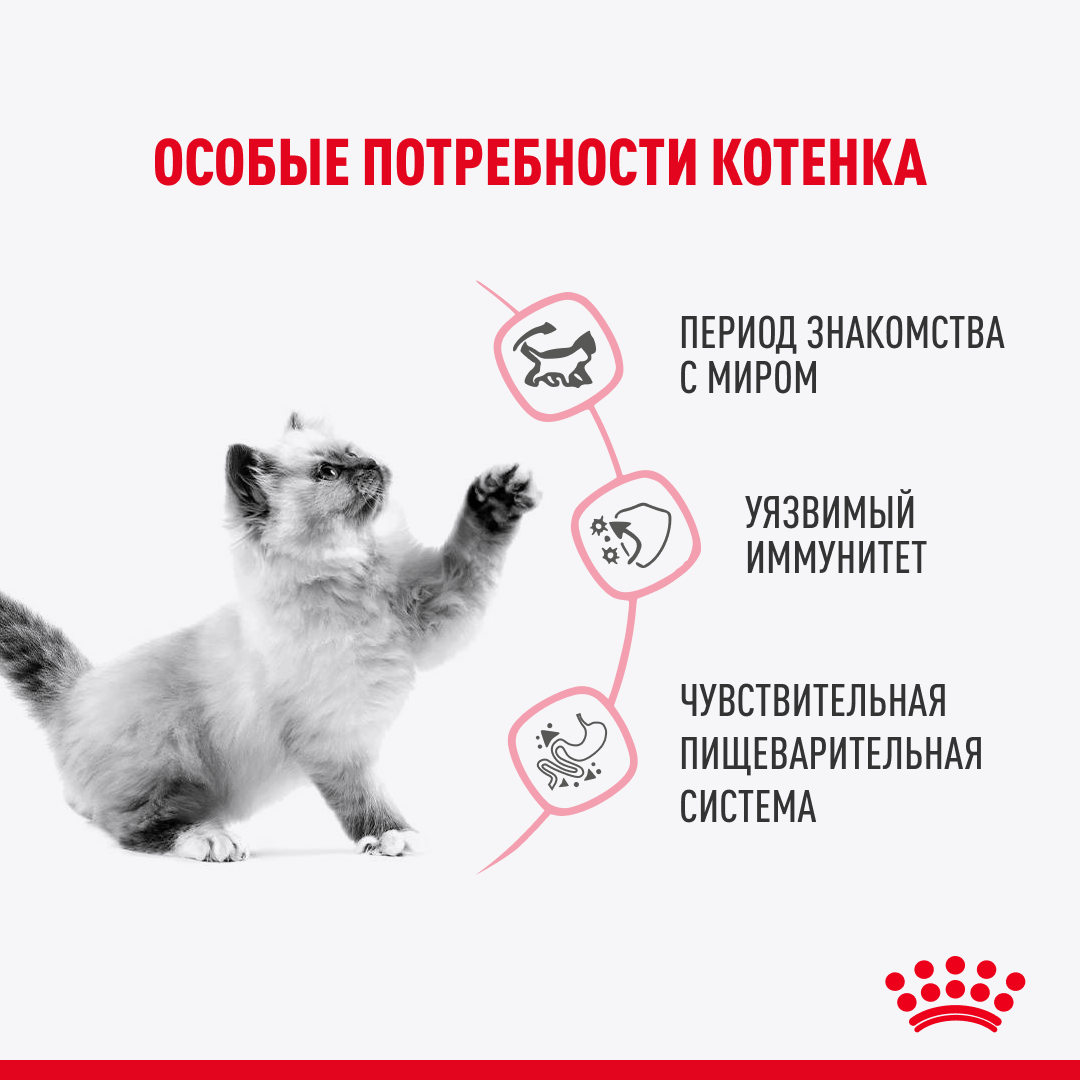 Kitten Sterilized , мелкие кусочки в желе. 