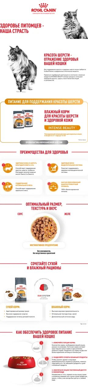 Корм Royal Canin Intense Beauty консервированный для взрослых кошек, соус